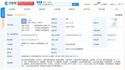 科大訊飛蕪湖設立新公司，拓展科技與房產中介服務